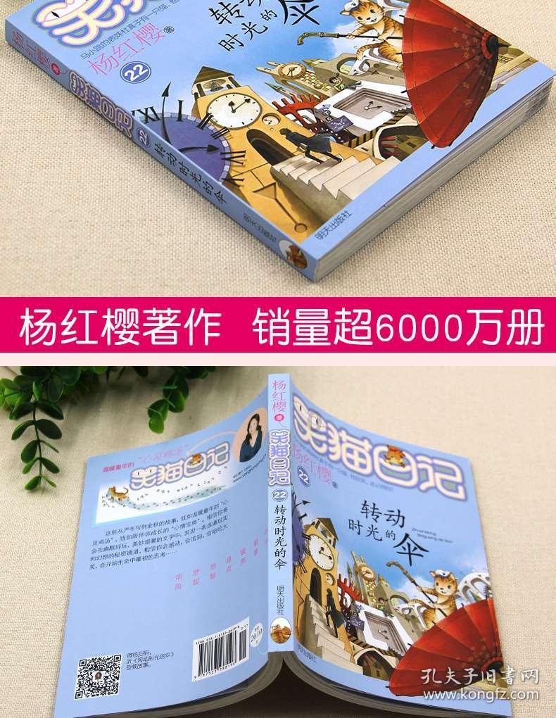 创作猫